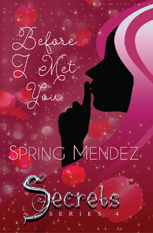 Secrets Series 4: Before I Met You