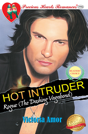Hot Intruder: Rogue (The Dashing Vagabond)