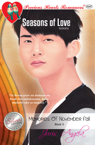 Seasons Of Love Book 3: Memories Of November Fall