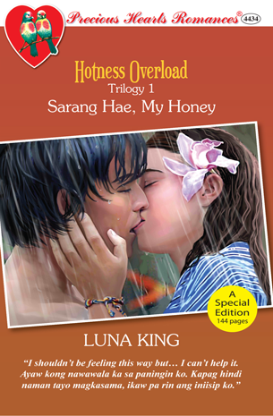 Hotness Overload Trilogy 1: Sarang Hae, My Honey