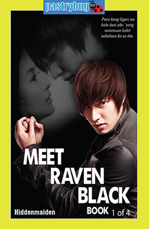 Meet Raven Black Book 1