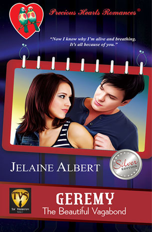 The Vagabonds Series 1: Geremy, The Beautiful Vagabond